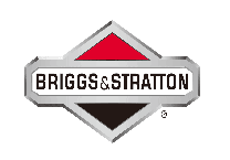 Briggs & Stratton