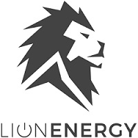 Lion Energy Lion Cub 10000 mAh 37Wh Power Bank Detail Image 1