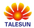 Talesun Bipro 585W 144 Half-Cell Bifacial Solar Panel Detail Image 1